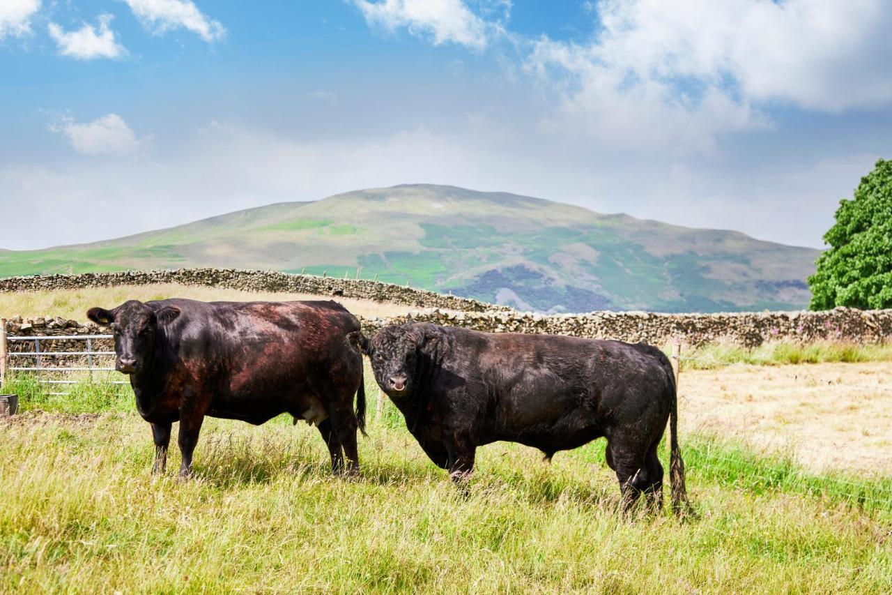 The Dalesman Country Inn セドバーグ エクステリア 写真